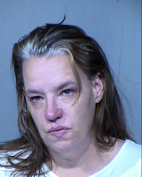 KRISTIN LEAHY-SCHULTIES Mugshot / Maricopa County Arrests / Maricopa County Arizona