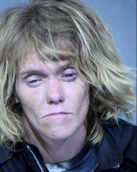 ASHLEY NICOLE FIELDS Mugshot / Maricopa County Arrests / Maricopa County Arizona