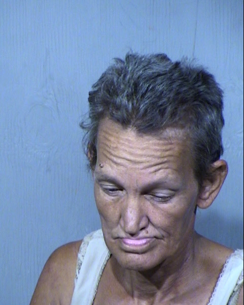 THERESA KRYSTINE KRIEG Mugshot / Maricopa County Arrests / Maricopa County Arizona