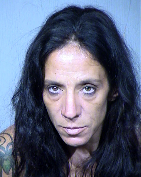 CHRISTINA ANN DREIER Mugshot / Maricopa County Arrests / Maricopa County Arizona