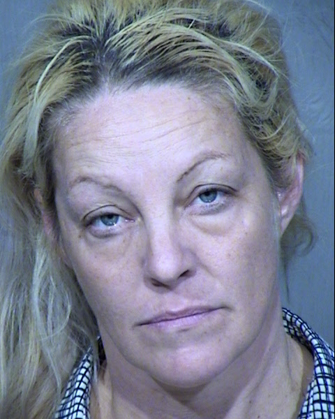 Lynne Ann Page Mugshot / Maricopa County Arrests / Maricopa County Arizona