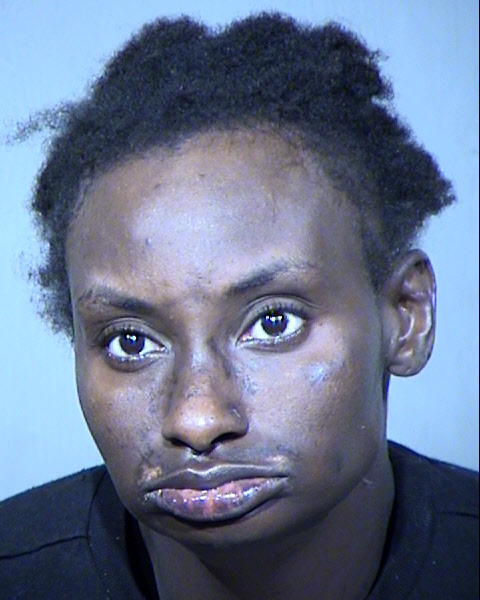 Cicely Tyson Shepard Mugshot / Maricopa County Arrests / Maricopa County Arizona