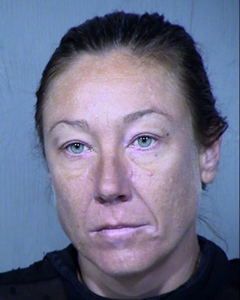 Karen Elizabeth Manz Mugshot / Maricopa County Arrests / Maricopa County Arizona