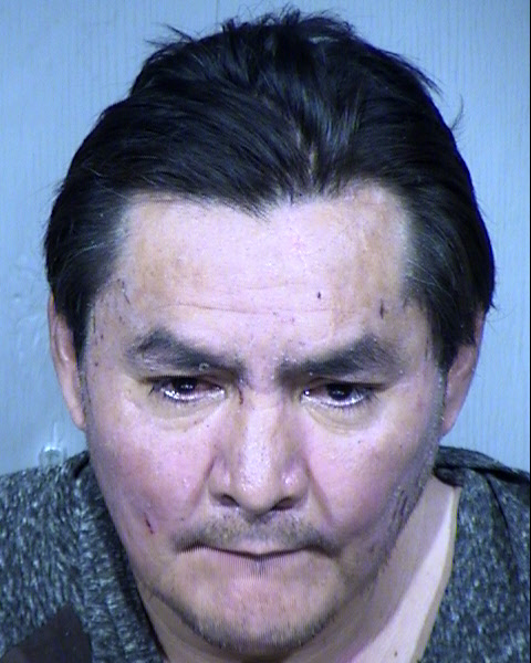 Marty Mitchell Mugshot / Maricopa County Arrests / Maricopa County Arizona