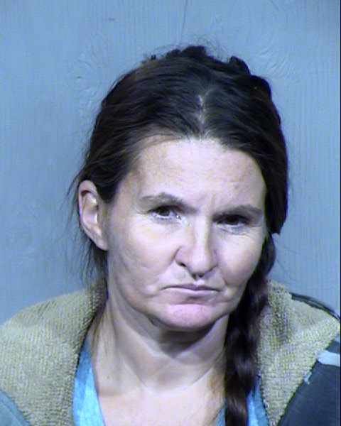 Amanda Lee Wood Mugshot / Maricopa County Arrests / Maricopa County Arizona