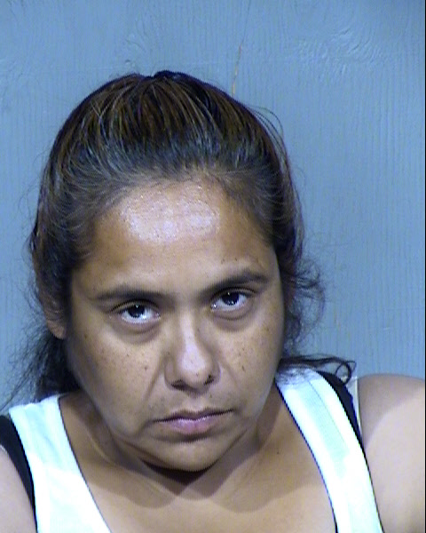 Vera B Castillo Mugshot / Maricopa County Arrests / Maricopa County Arizona