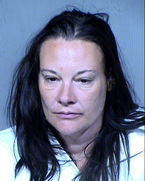 Virginia Jean Holt Mugshot / Maricopa County Arrests / Maricopa County Arizona