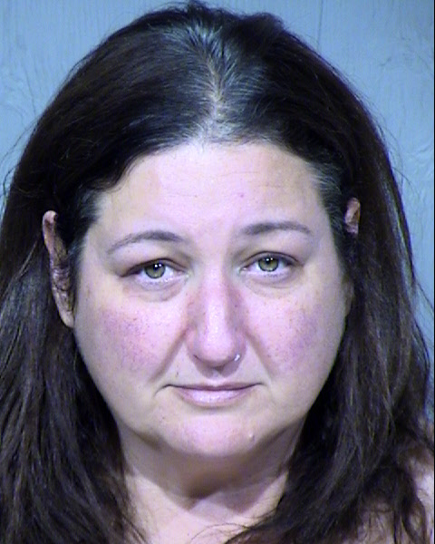 Tricia Lynne Goldstein Mugshot / Maricopa County Arrests / Maricopa County Arizona