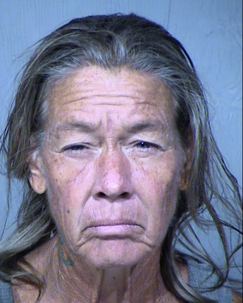 Joan Lee Bozmoski Mugshot / Maricopa County Arrests / Maricopa County Arizona