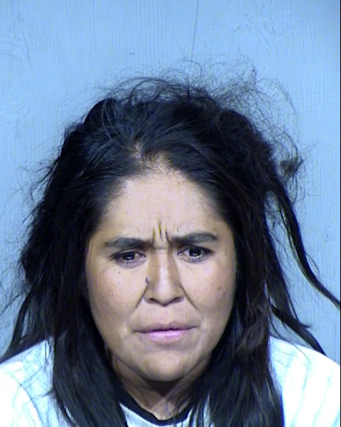 Trina Ranae Elgo Mugshot / Maricopa County Arrests / Maricopa County Arizona