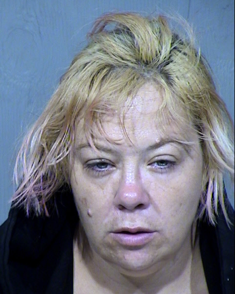 Karen Elizabeth Knight Mugshot / Maricopa County Arrests / Maricopa County Arizona