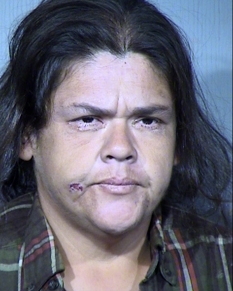 Benita Luisa Saenz Mugshot / Maricopa County Arrests / Maricopa County Arizona