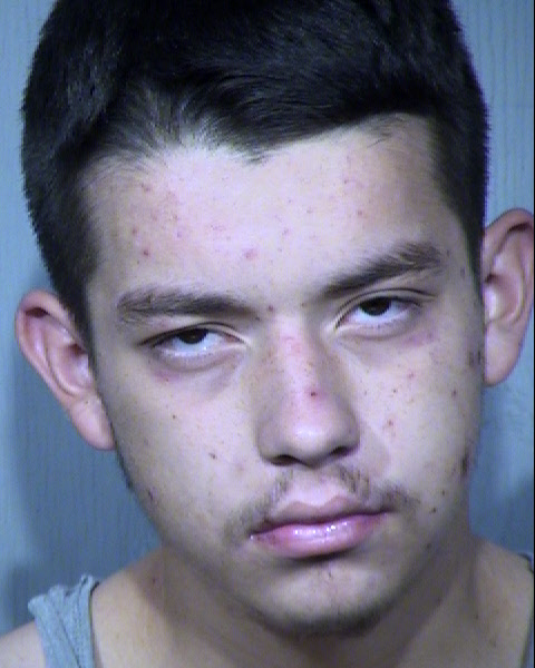 Timo Wallace Schmit Mugshot / Maricopa County Arrests / Maricopa County Arizona