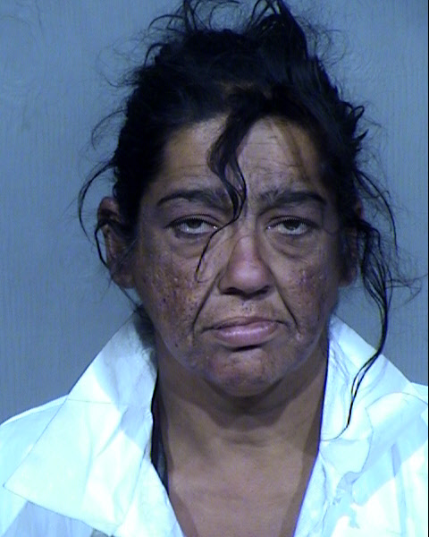 Christina Delmaro Mugshot / Maricopa County Arrests / Maricopa County Arizona