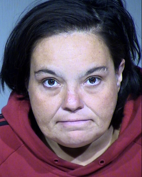 Terri Sunshine Mar Heille Mugshot / Maricopa County Arrests / Maricopa County Arizona