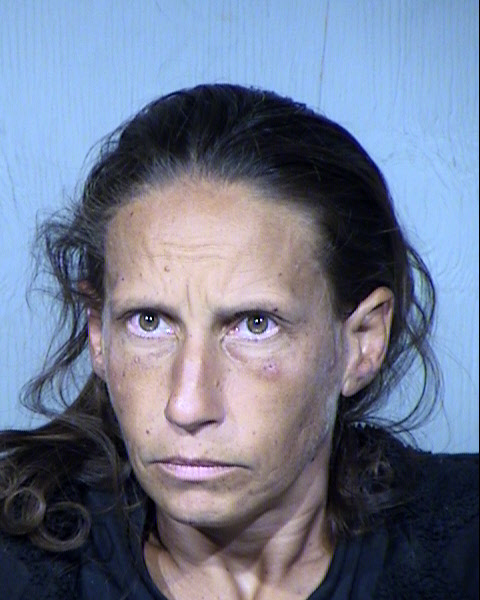 Lynsey Caroline Anderson Mugshot / Maricopa County Arrests / Maricopa County Arizona