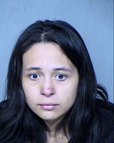 Leydibeth Torres Ledezma Mugshot / Maricopa County Arrests / Maricopa County Arizona