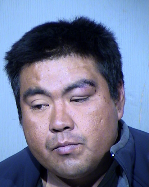 Emeron Littlewolf Marrietta Mugshot / Maricopa County Arrests / Maricopa County Arizona