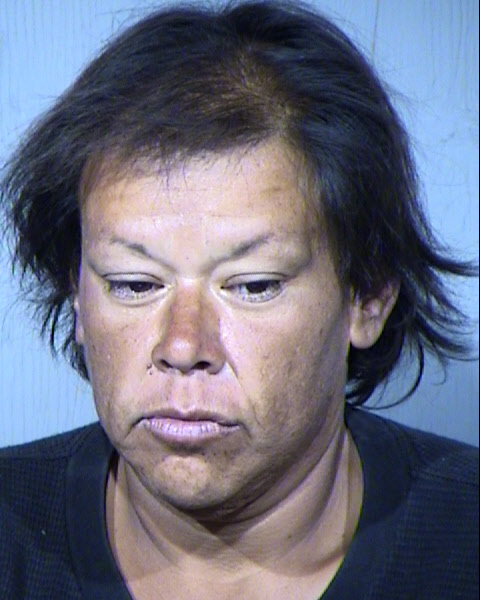 Sherry Connors Mugshot / Maricopa County Arrests / Maricopa County Arizona