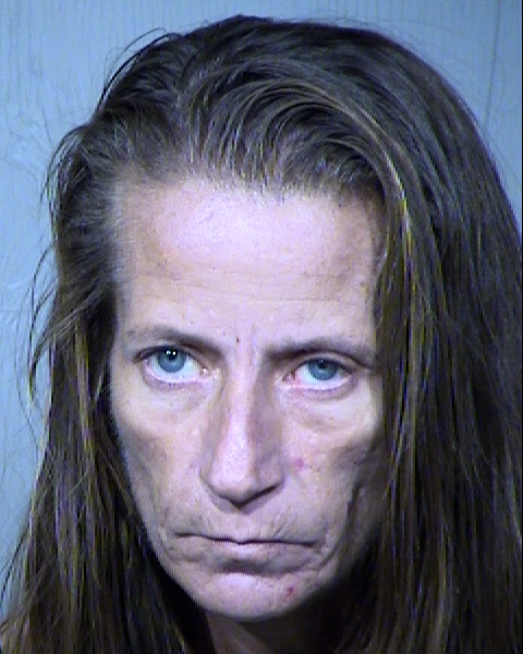 Cindy L Watson Mugshot / Maricopa County Arrests / Maricopa County Arizona