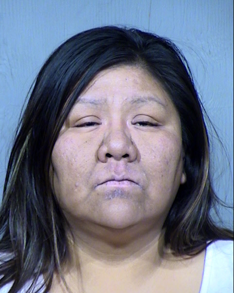 Cynthia Irene Goode Mugshot / Maricopa County Arrests / Maricopa County Arizona