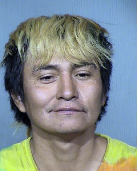 Frelyn Chee Mugshot / Maricopa County Arrests / Maricopa County Arizona