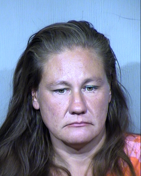 Bobbi Jo Maloney Mugshot / Maricopa County Arrests / Maricopa County Arizona