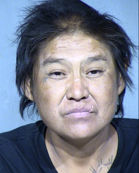 Janis Nez Mugshot / Maricopa County Arrests / Maricopa County Arizona