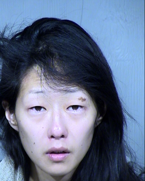 Tzuchun Chen Parks Mugshot / Maricopa County Arrests / Maricopa County Arizona