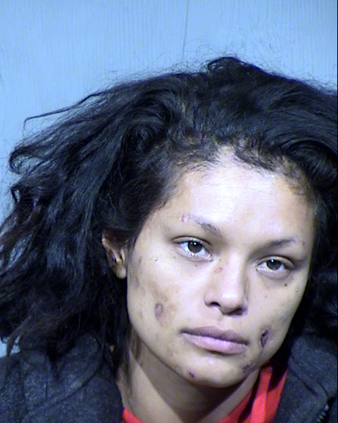 Sarah Lorraine Ortiz Mugshot / Maricopa County Arrests / Maricopa County Arizona