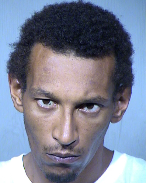 Travis James Reece Mugshot / Maricopa County Arrests / Maricopa County Arizona