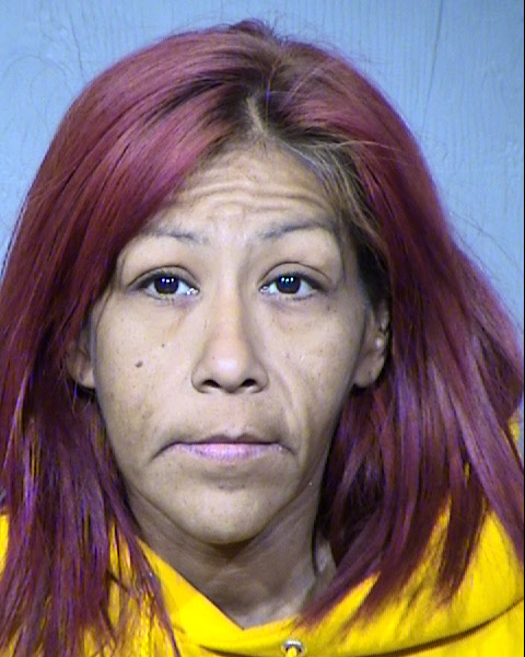 Tracy Ann Felix Mugshot / Maricopa County Arrests / Maricopa County Arizona