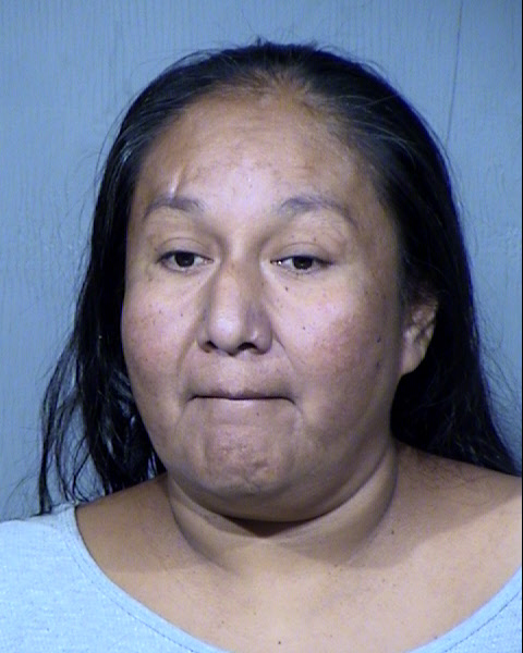 Cheryl Castillo Mugshot / Maricopa County Arrests / Maricopa County Arizona