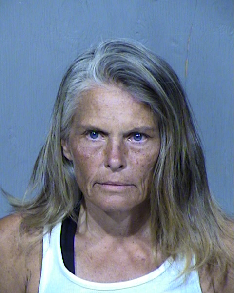 Sherry Lynn Horst Mugshot / Maricopa County Arrests / Maricopa County Arizona