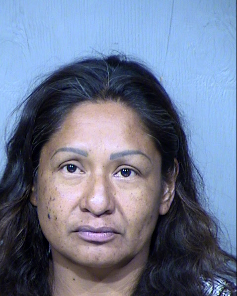 Nikki Ann Butler Mugshot / Maricopa County Arrests / Maricopa County Arizona
