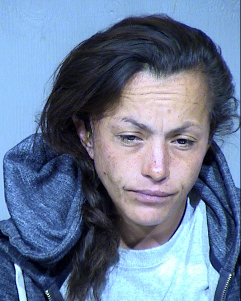 Darlena Elena Faulkner Mugshot / Maricopa County Arrests / Maricopa County Arizona
