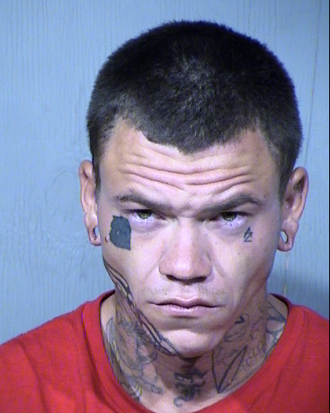 Troy Leslie Chadwick Mugshot / Maricopa County Arrests / Maricopa County Arizona