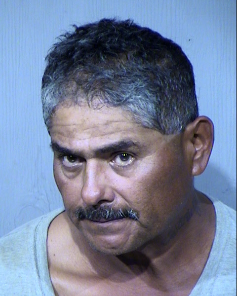 Guadalupe Gonzales Mugshot / Maricopa County Arrests / Maricopa County Arizona