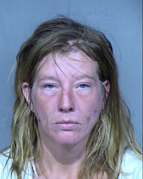 Sabrina Rebecca Looney Mugshot / Maricopa County Arrests / Maricopa County Arizona