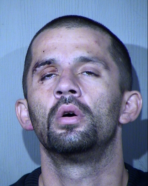 Martin C Nolan Mugshot / Maricopa County Arrests / Maricopa County Arizona