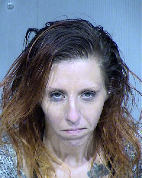 Tasha Marie Lamica Mugshot / Maricopa County Arrests / Maricopa County Arizona