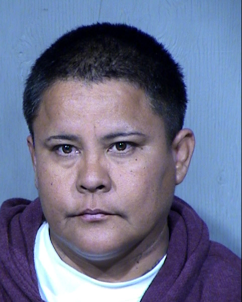 Sandra A Sandoval Mugshot / Maricopa County Arrests / Maricopa County Arizona