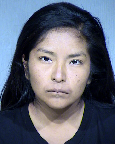 Melissa Terrie Mansfield Mugshot / Maricopa County Arrests / Maricopa County Arizona