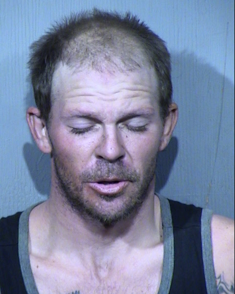 William Irvin Walizer Mugshot / Maricopa County Arrests / Maricopa County Arizona