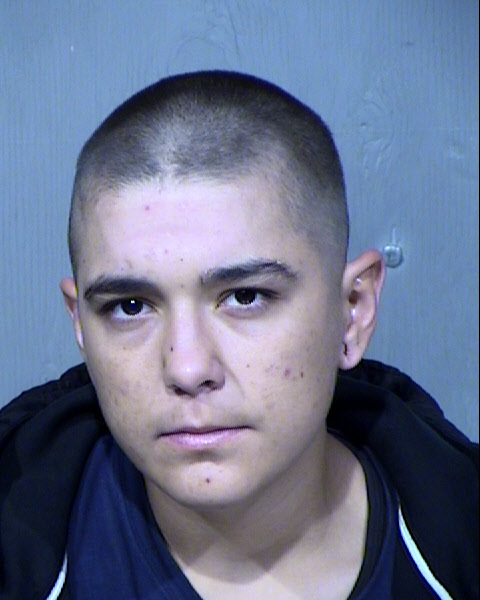 Paige Hillary Hill Mugshot / Maricopa County Arrests / Maricopa County Arizona