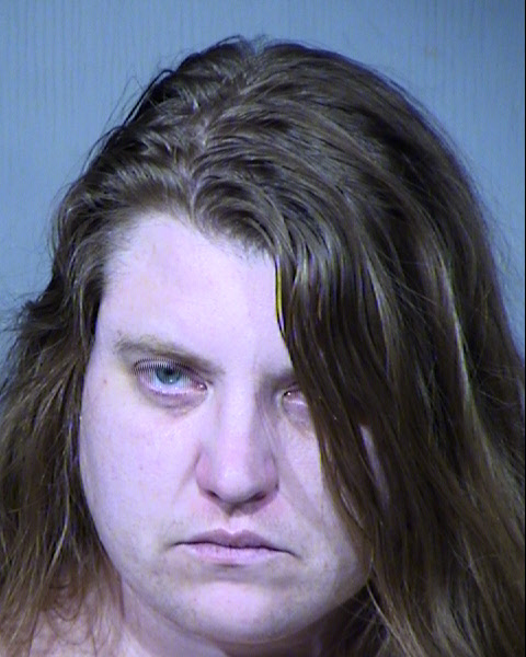 Danielle Erika Hutchins Mugshot / Maricopa County Arrests / Maricopa County Arizona