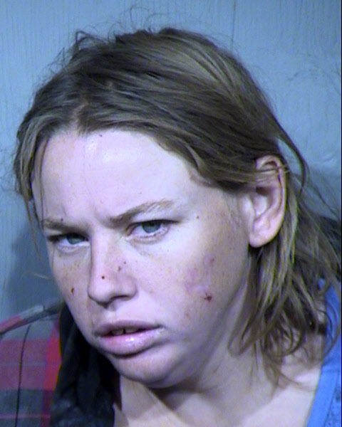 Sharon Louise Scholin Mugshot / Maricopa County Arrests / Maricopa County Arizona