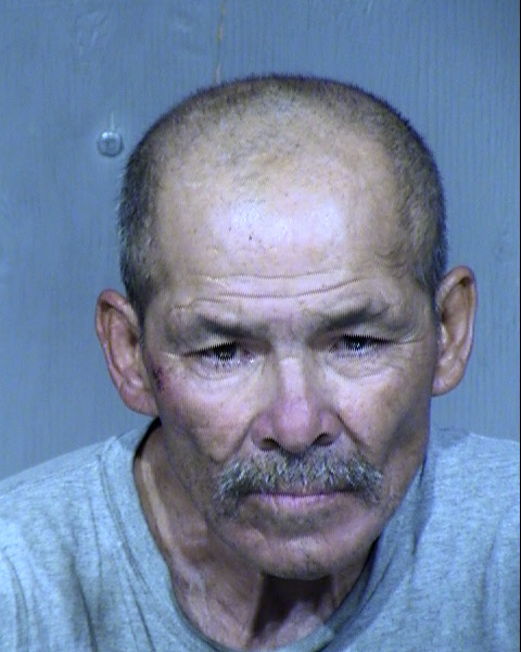 Guadalupe Servin Garcia Mugshot / Maricopa County Arrests / Maricopa County Arizona
