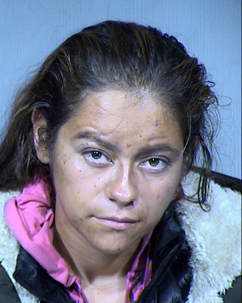Rendi Renee Kurtz Mugshot / Maricopa County Arrests / Maricopa County Arizona