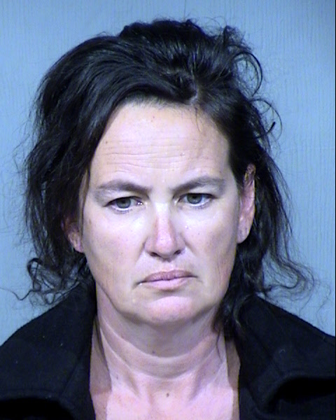 Cynthia Lyn Flagg Mugshot / Maricopa County Arrests / Maricopa County Arizona